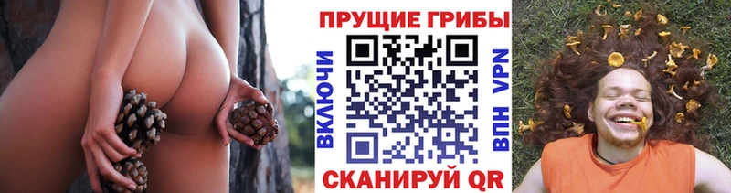 Псилоцибиновые грибы мухоморы  Волгодонск 