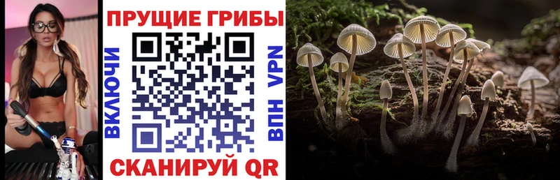Галлюциногенные грибы мухоморы Волгодонск