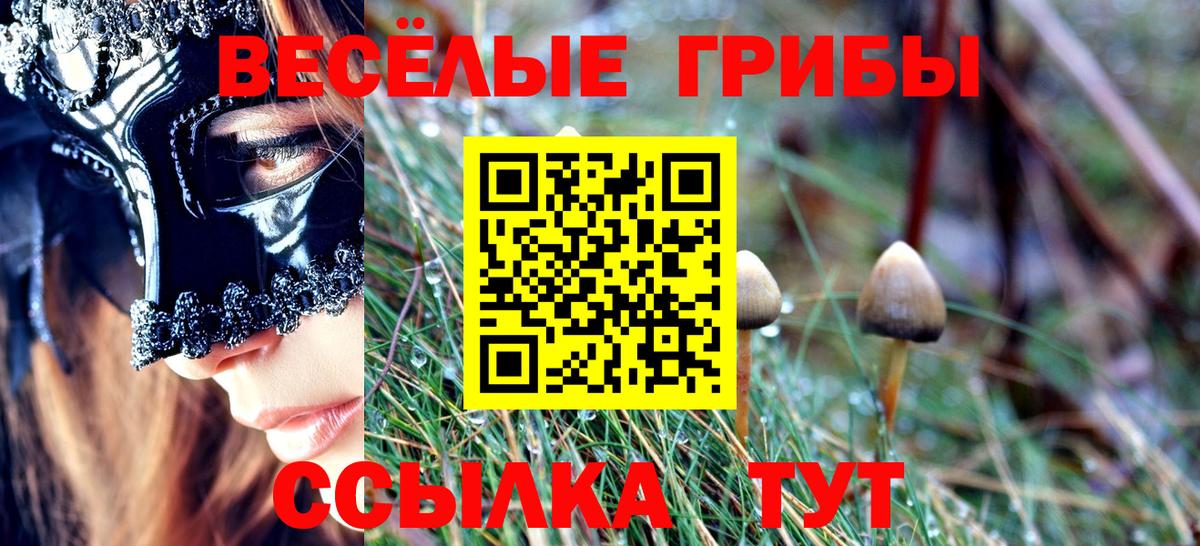 Волгодонск  Галлюциногенные грибы ЛСД  Вход с VPN 