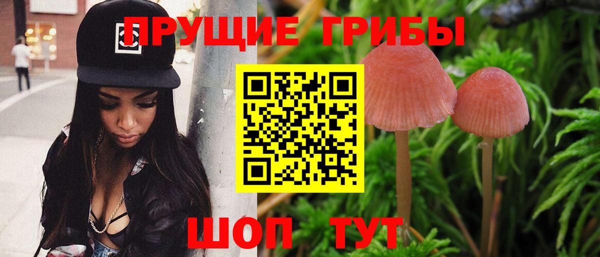 Галлюциногенные грибы MAGIC MUSHROOMS Волгодонск