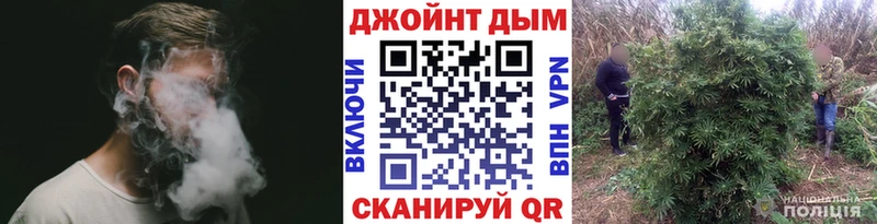 Бошки марихуана марихуана  Волгодонск 